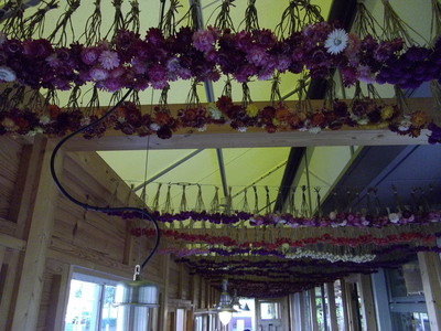 e0239312_150232.jpg
