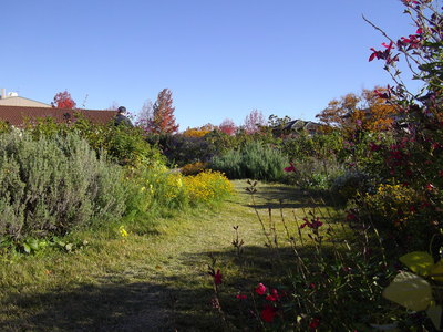 e0239312_23018.jpg