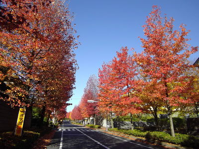 e0239312_264266.jpg