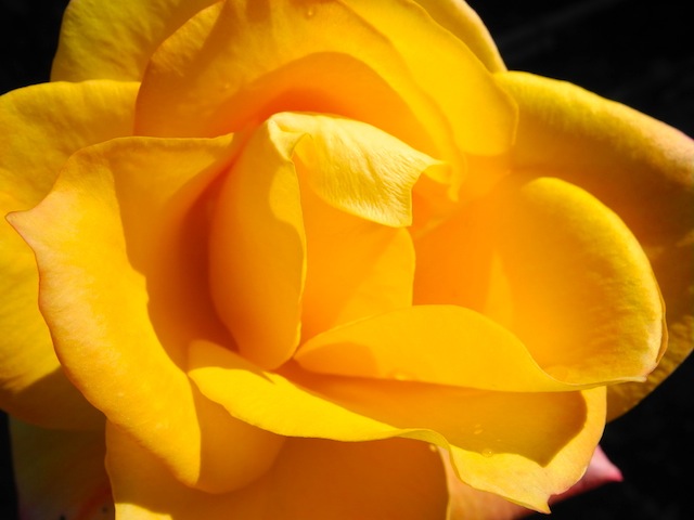 c0248013_10391314.jpg