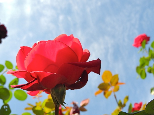 c0248013_10391436.jpg