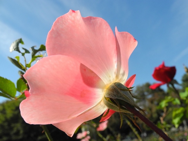 c0248013_10405137.jpg