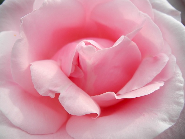 c0248013_10415584.jpg