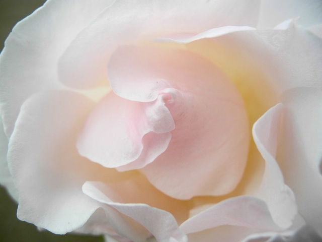 c0248013_1042859.jpg