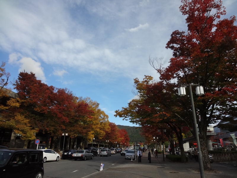 b0010914_0363090.jpg
