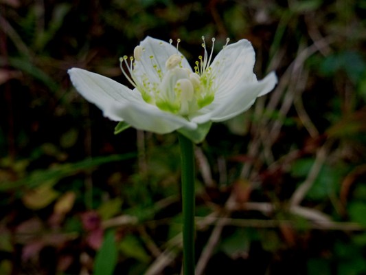 c0042418_96101.jpg