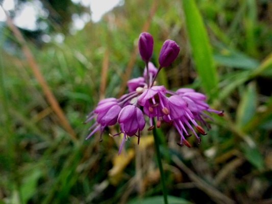 c0042418_96543.jpg