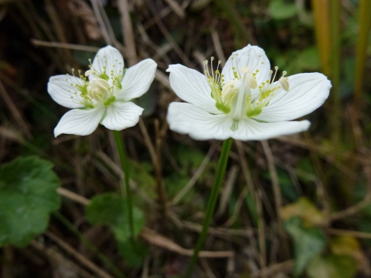 c0042418_96944.jpg