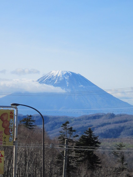 b0247823_1753172.jpg