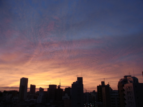 f0108825_946369.jpg