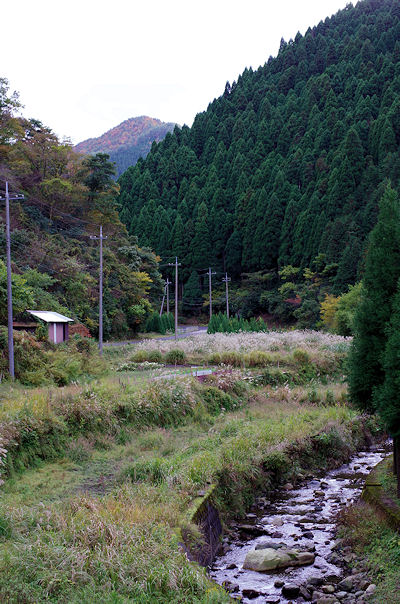 f0007926_14445780.jpg
