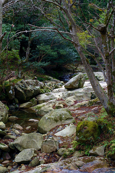 f0007926_17251524.jpg