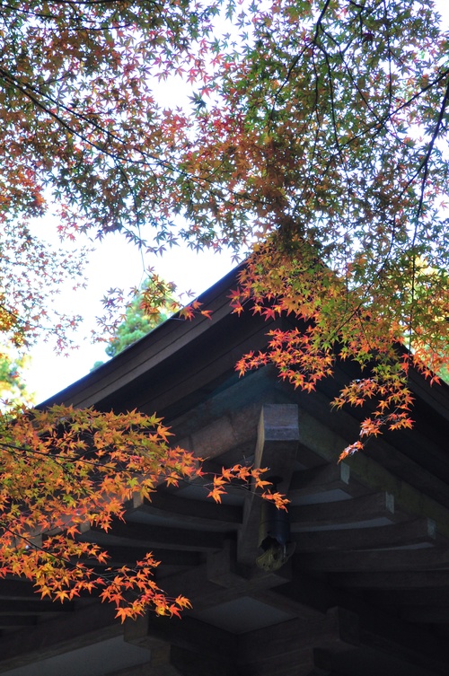 a0248728_03192.jpg