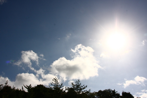 d0158028_18544288.jpg