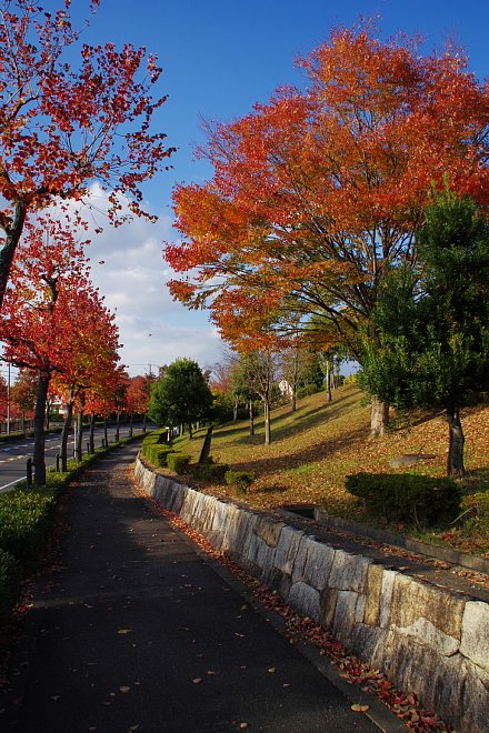 b0134829_2035274.jpg