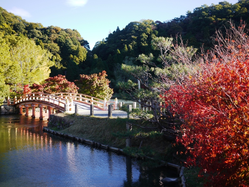 e0206031_8213132.jpg