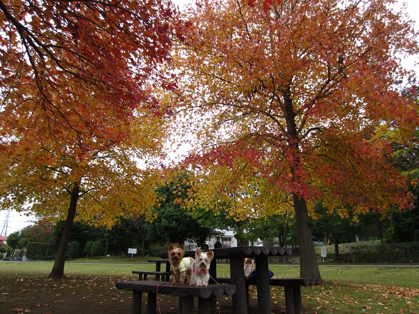 f0002833_171006.jpg