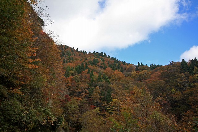 a0242438_18243562.jpg