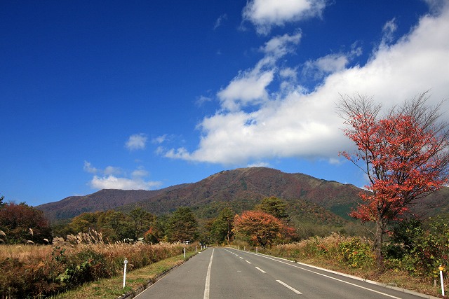 a0242438_18254116.jpg