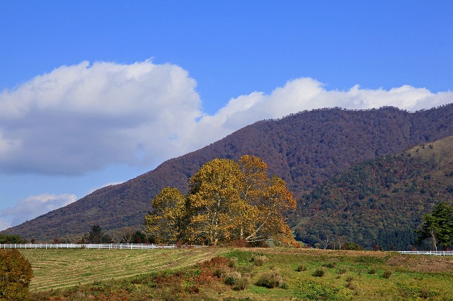 a0242438_18272537.jpg