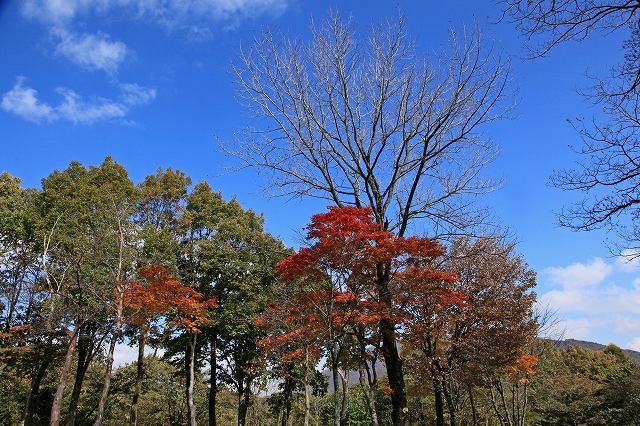 a0242438_1859368.jpg