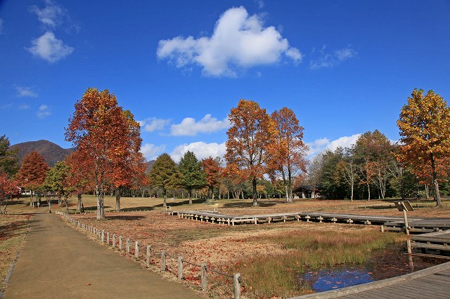 a0242438_18595325.jpg