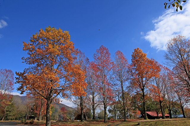 a0242438_1902292.jpg