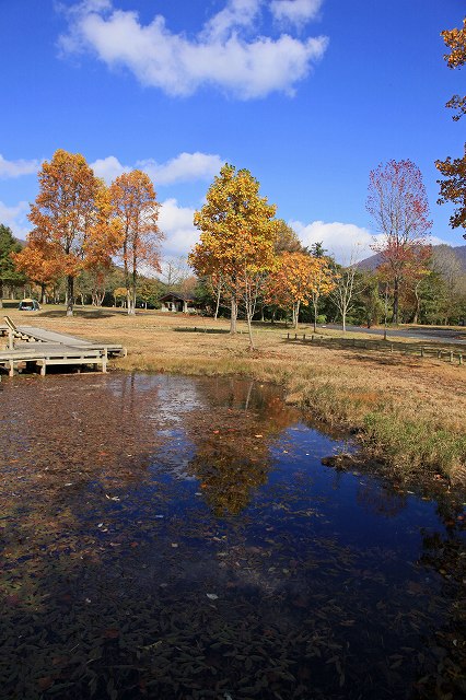 a0242438_1904329.jpg