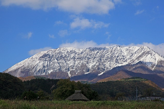 a0242438_1911299.jpg