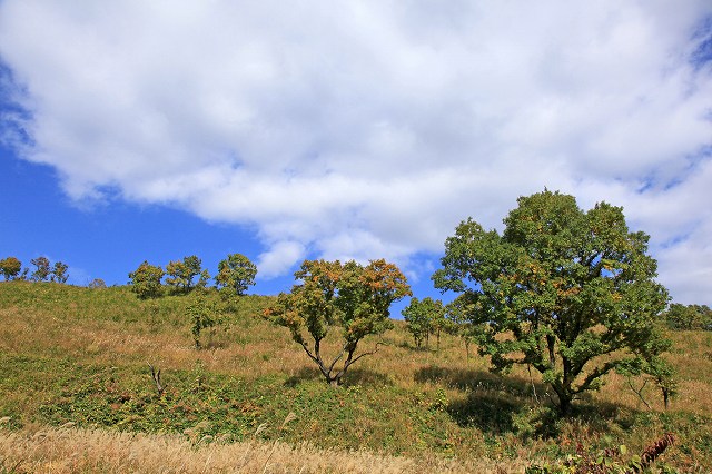 a0242438_1911797.jpg
