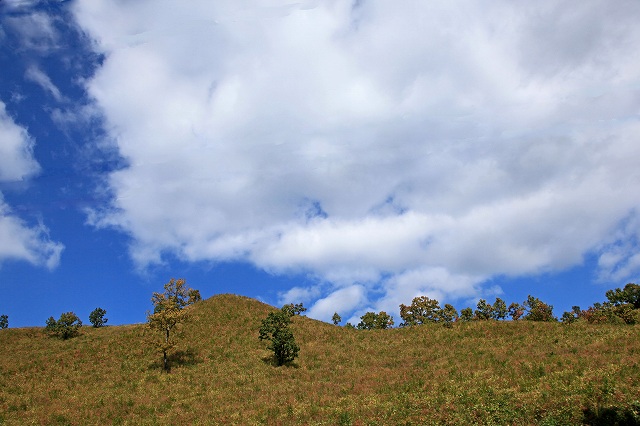 a0242438_1912327.jpg