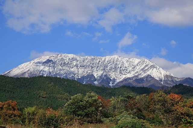 a0242438_1912538.jpg