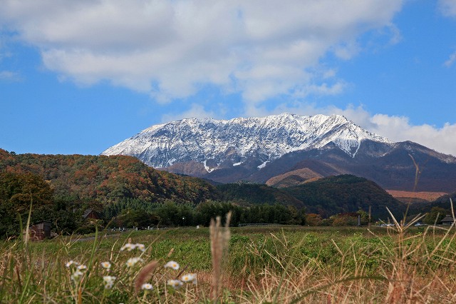 a0242438_1913184.jpg