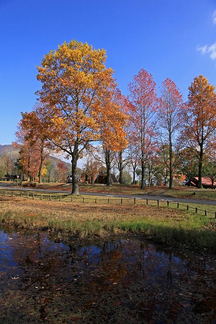 a0242438_1921063.jpg