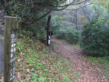 c0077338_21484877.jpg