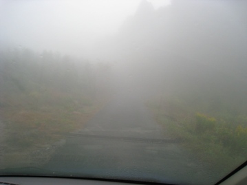 c0077338_21485963.jpg