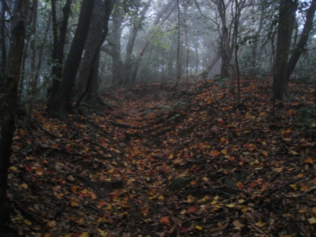 c0077338_21491169.jpg