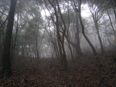 c0077338_21492392.jpg