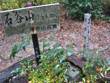 c0077338_21494717.jpg