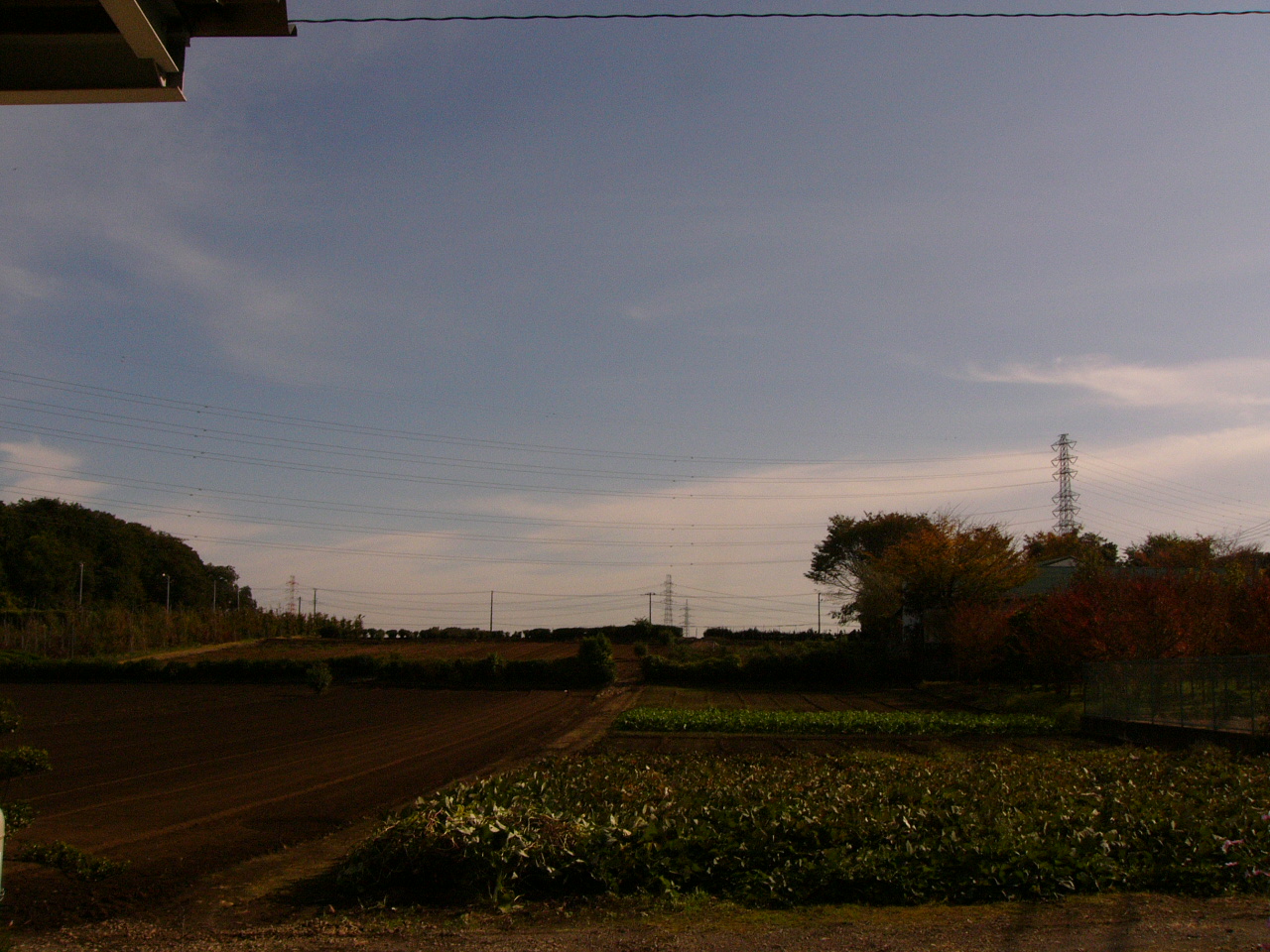 e0089438_1775629.jpg