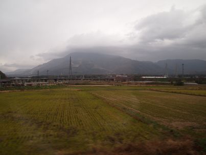 d0079440_20554647.jpg