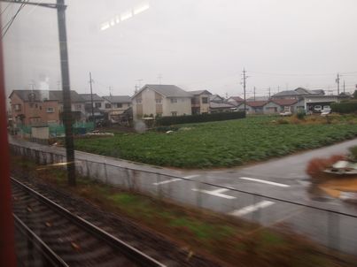 d0079440_22412464.jpg