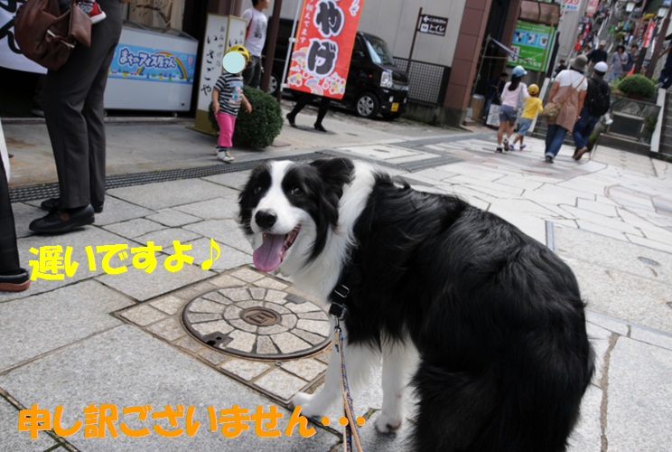 c0147241_21181498.jpg