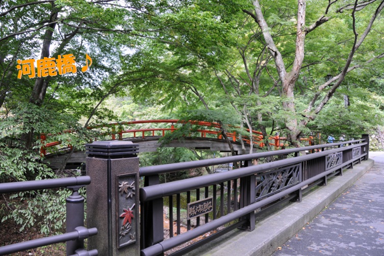 c0147241_2118449.jpg