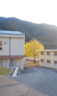 d0115342_17365291.jpg