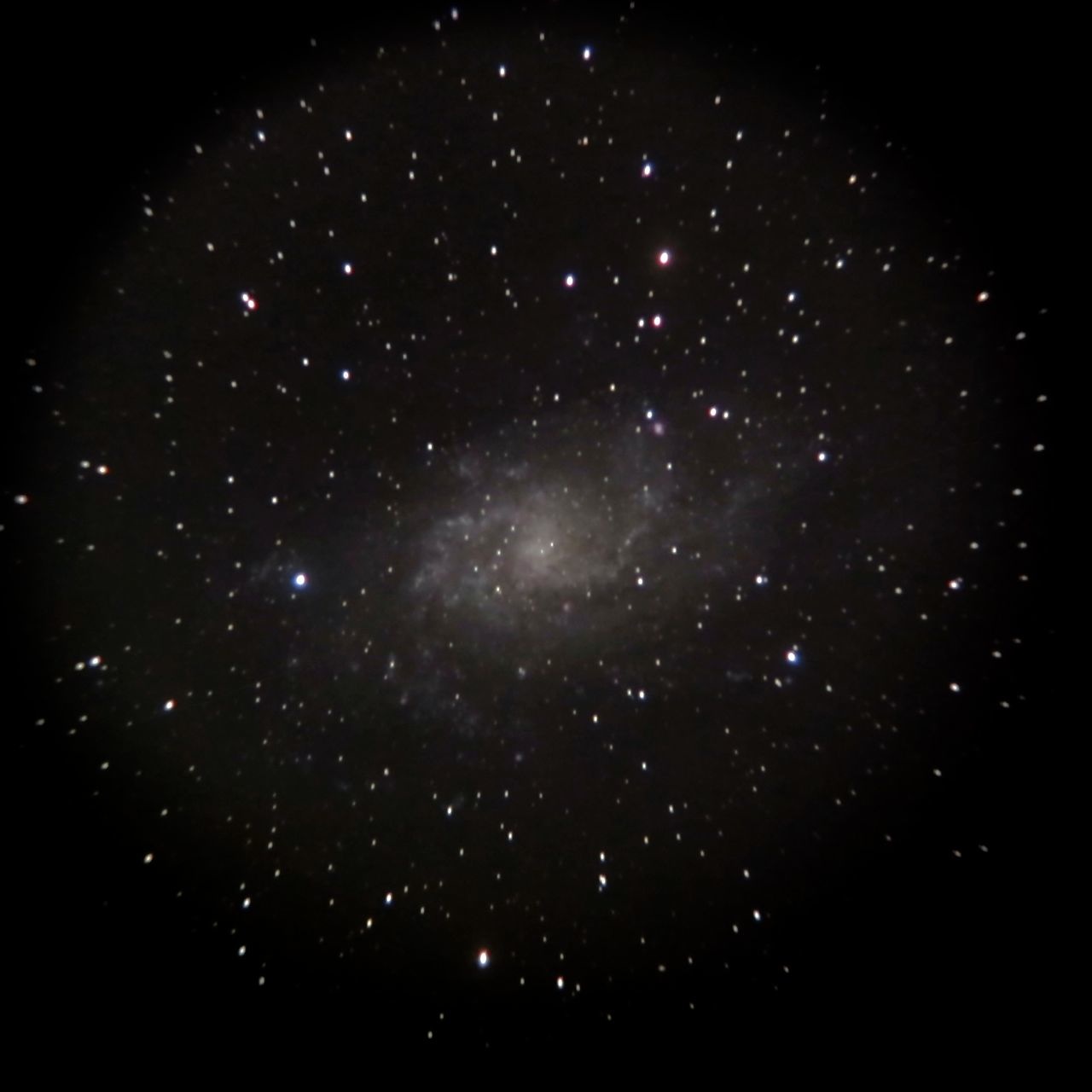 b0167343_0163369.jpg