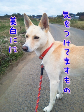 f0195543_17294369.jpg