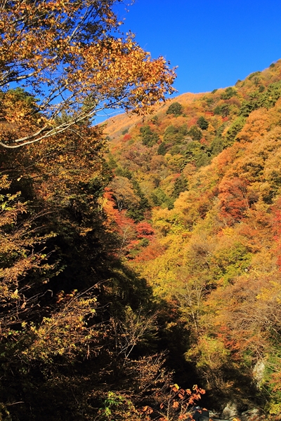 c0228945_17351358.jpg