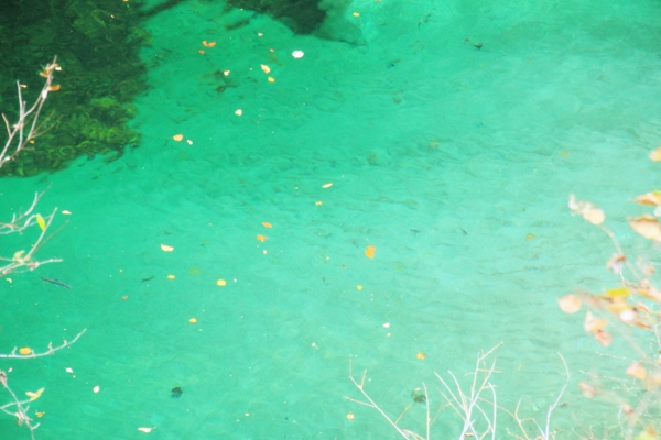 c0228945_1833861.jpg