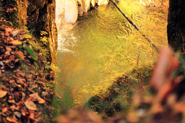 c0228945_20103136.jpg